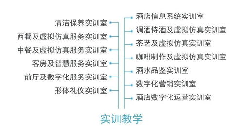 從酒店管理到數(shù)字化運營 專業(yè)名稱更迭背后的行業(yè)變革